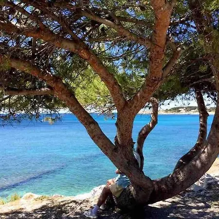 Le Chant Des Cigales Studio Duplex Climatise Pres Des Plages Sausset-les-Pins Buitenkant foto