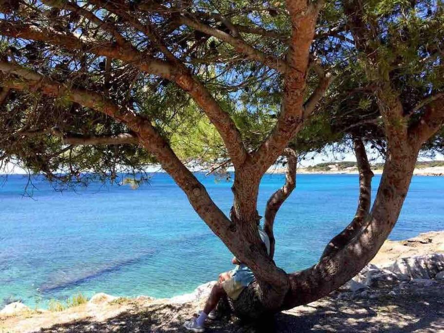 Le Chant Des Cigales Duplex Climatise Pres Des Plages * Sausset-les-Pins